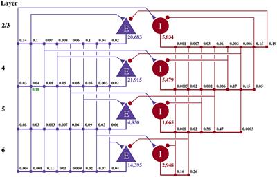 PyGeNN: A Python Library for GPU-Enhanced Neural Networks